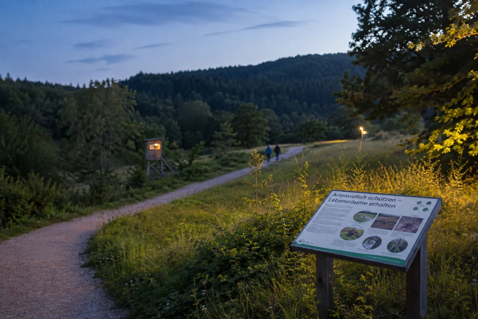 Biodiversität im Fokus: Naturschutz bei der Planung von Wanderwegen