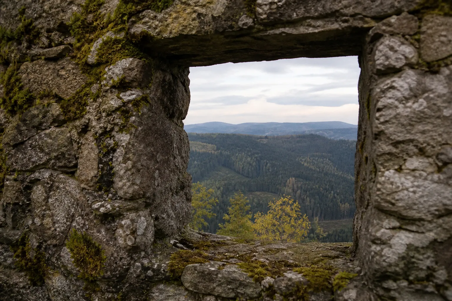 Burgruine Schellenberg oder Leuchtenberg: Welches Ziel lohnt sich?