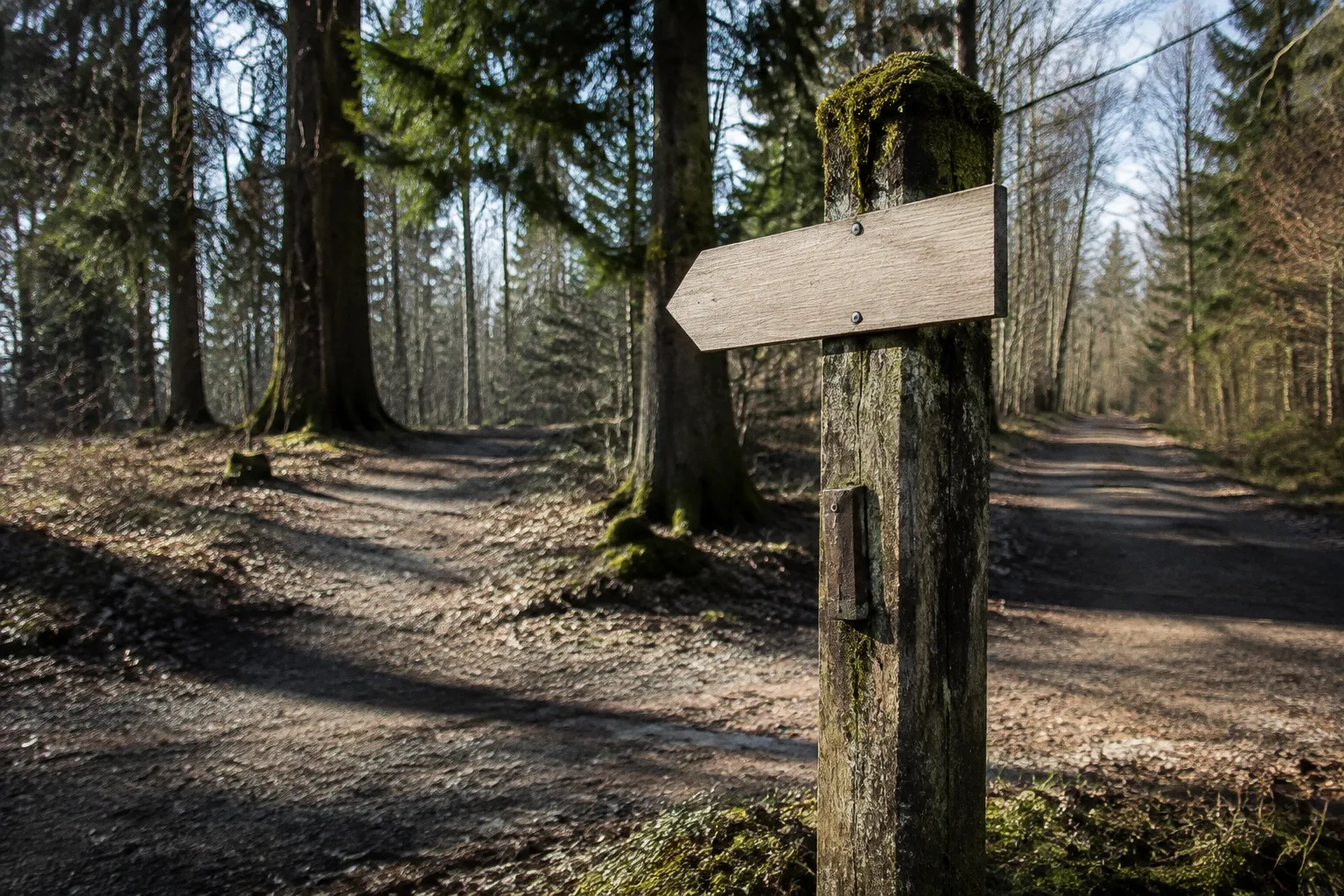 Dorferneuerung in Bayern: Welcher Beteiligungsweg passt?