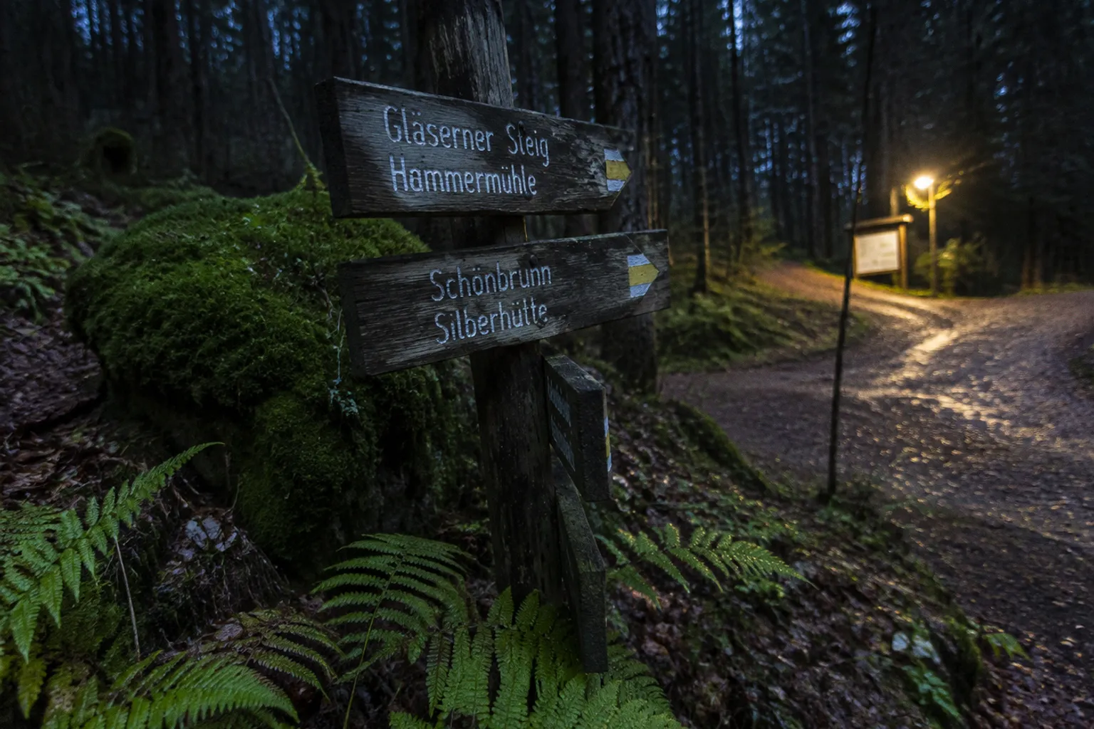 Flurnamen im Oberpfälzer Wald: Was vor der Erfassung nötig ist