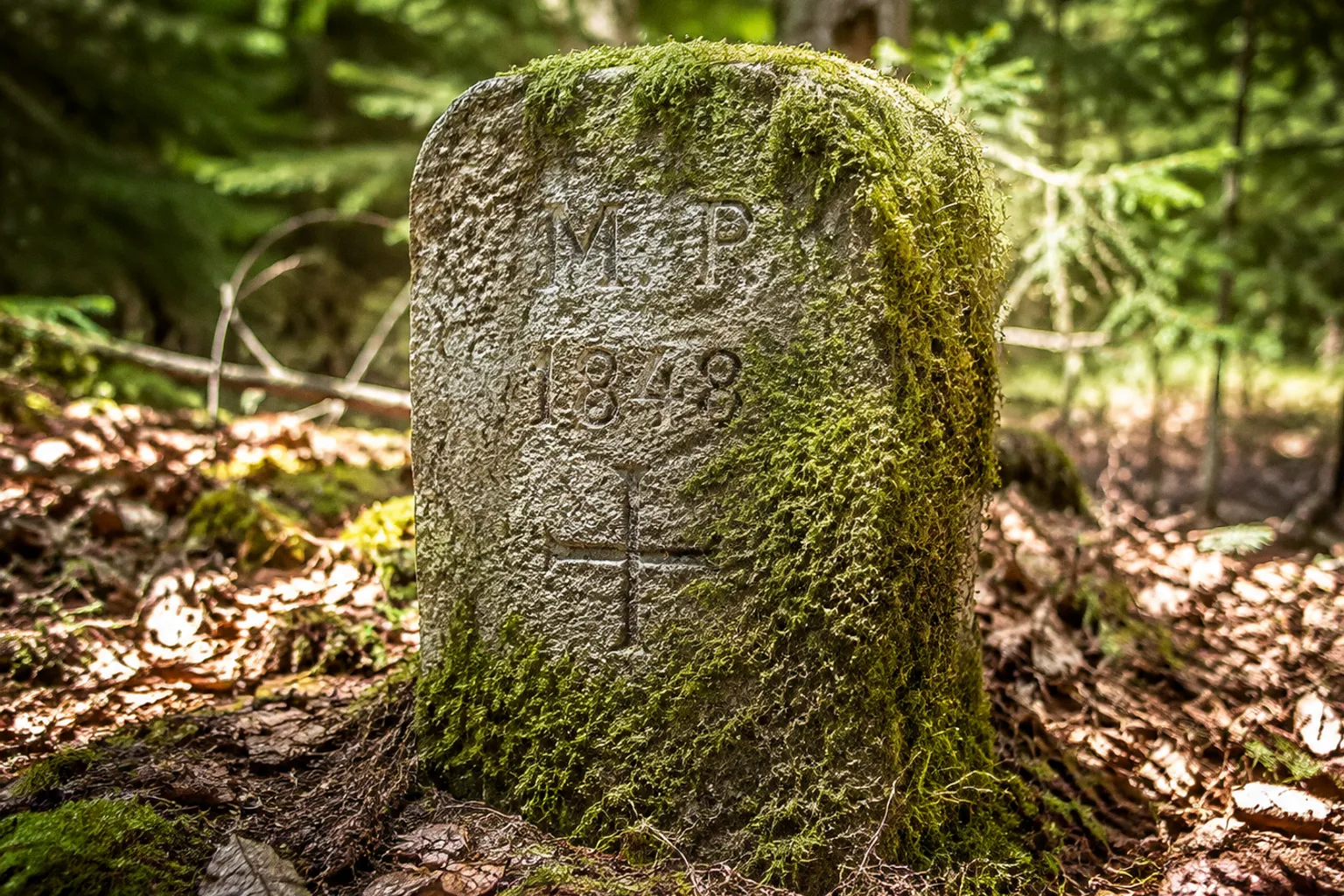 Historische Grenzsteine im Wald: Wann eine Meldung nötig wird