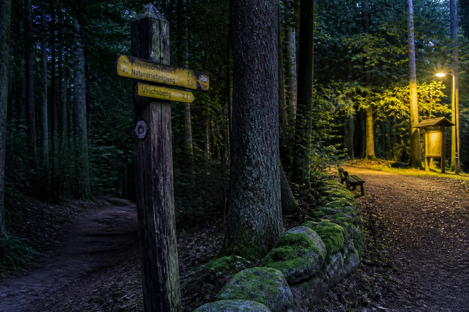 Pfrentschweiher-Route: Von Waidhaus zum Naturschutzgebiet