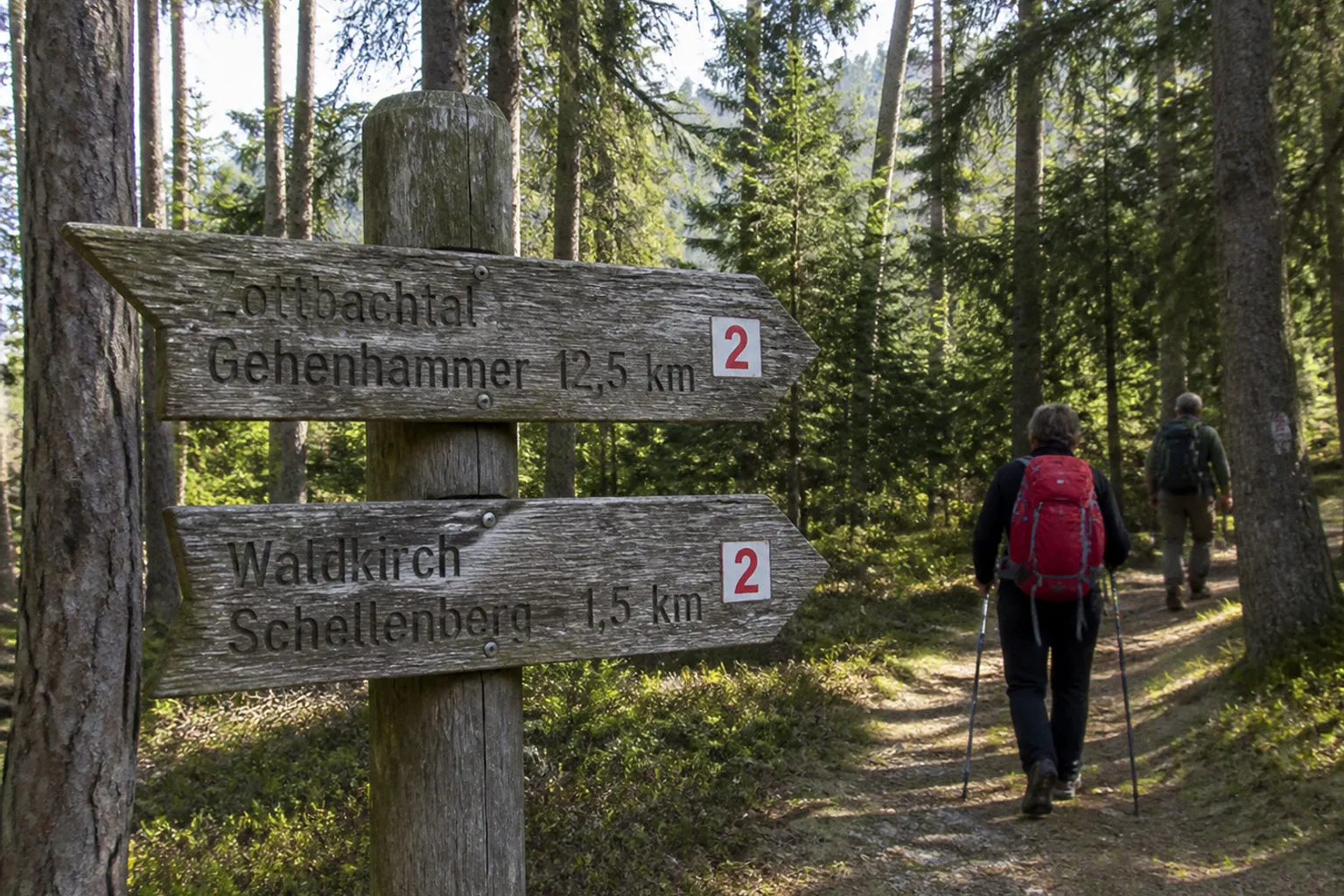 Schellenberg-Wanderung: Zottbachtal oder Waldkirch als Start?