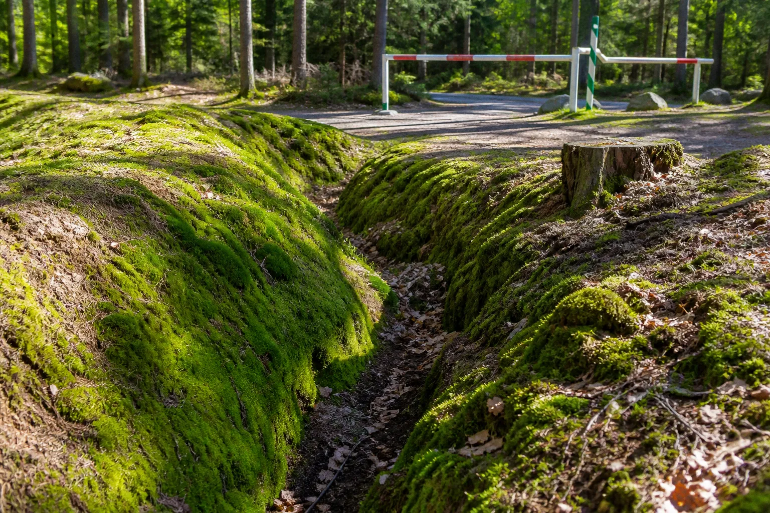 Tillyschanze-Wege: Grenzkamm oder Bärnlohe-Pfad im Vergleich
