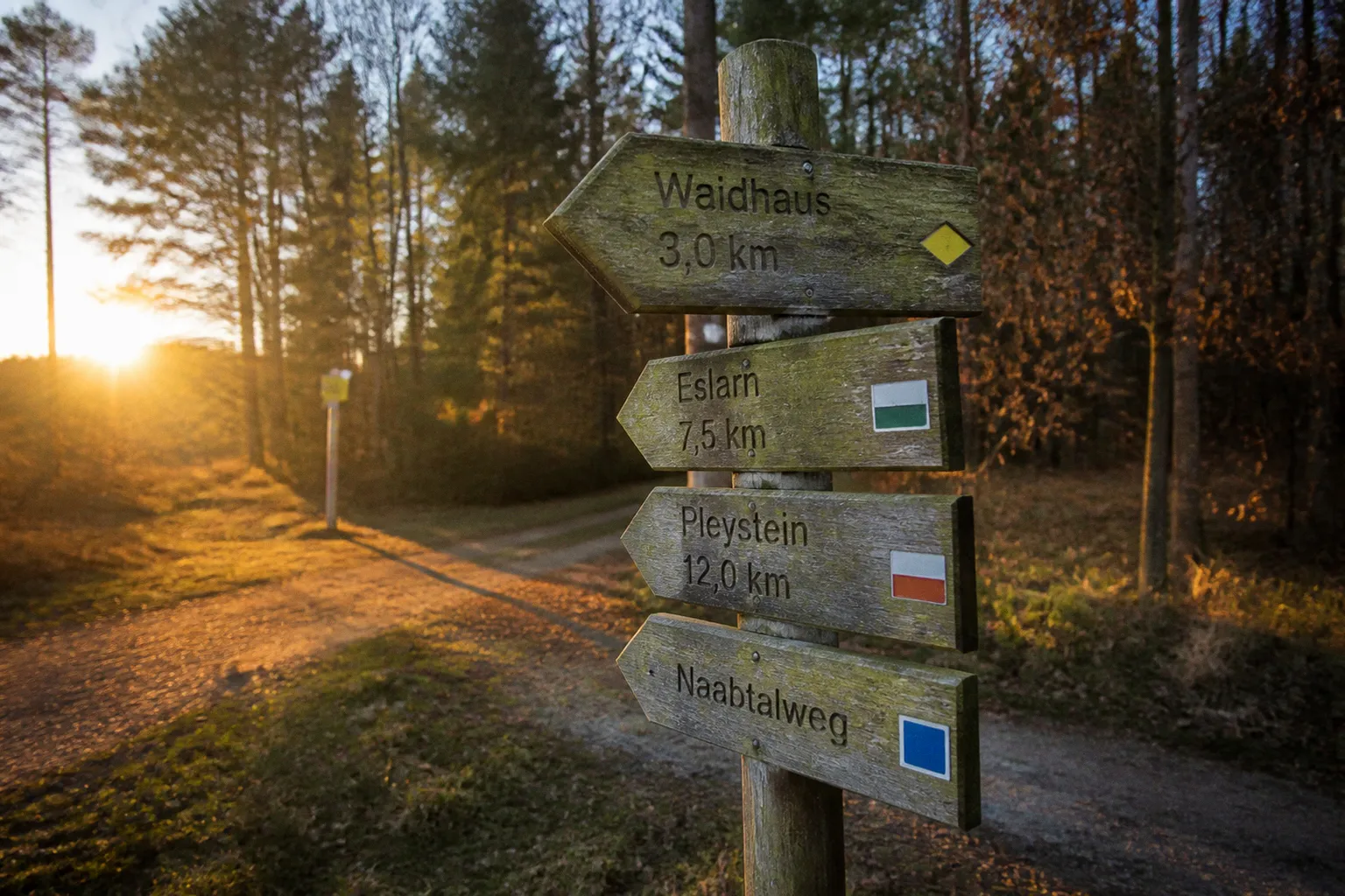 Vereinsjubiläum in Waidhaus: Drei Konzepte für die Planung