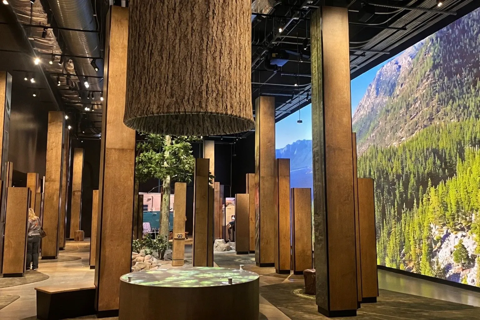 Wald der Geschichten: Ein neues Zentrum für Naturschutz in Montana
