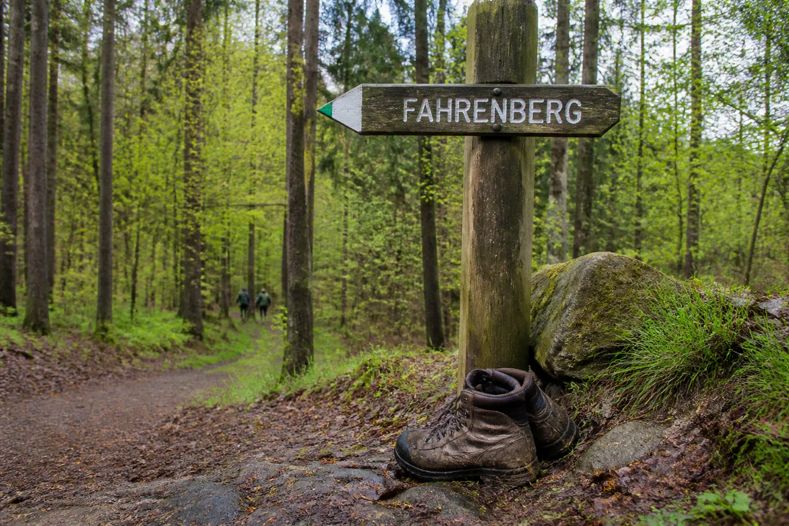 Wanderung zum Fahrenberg: Eine familienfreundliche Route
